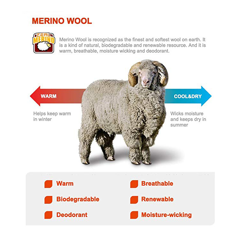 ZEALWOOD piesze wycieczki Trek – Wool Hiking Sock recenzja i cena
