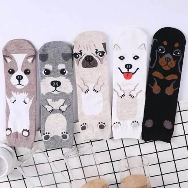 5 par/opakowanie Śmieszne Skar – Cotton Crew Sock Pack recenzja i cena
